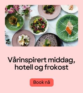 Middagspakke