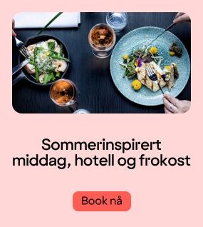 Middag og overnatting
