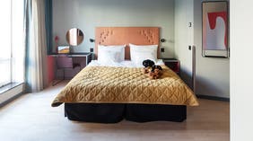 Deluxe rom med oppredd seng, teddybjørn på sengen og arbeidsplass ved Clarion Hotel Örebro 