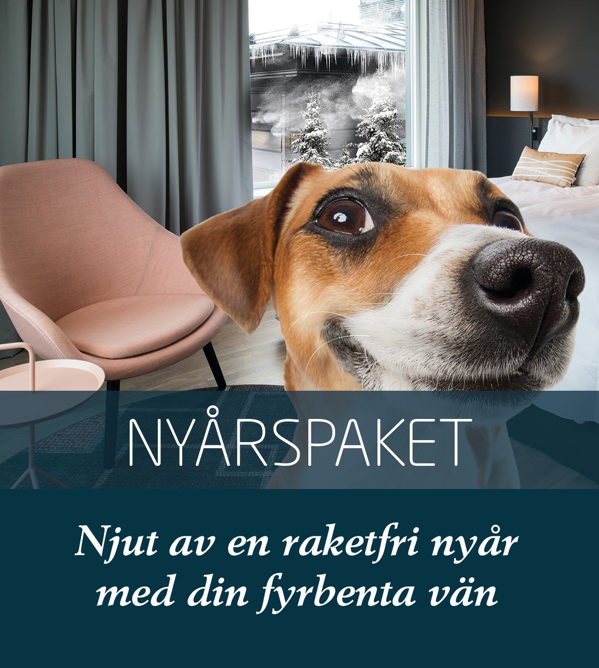 Nyårspaket