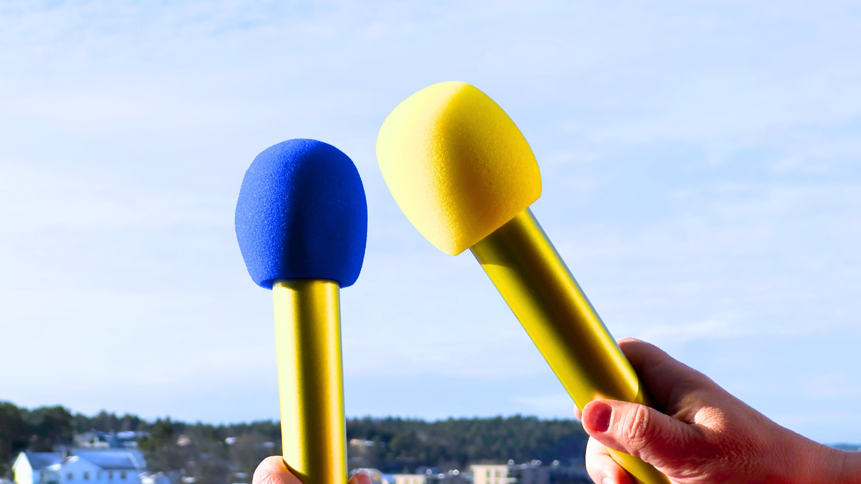 Sing-A-Long: Et dayparty på toppen av byen!