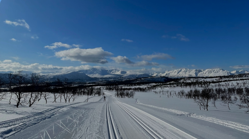 Opplev Harstad: Ditt Eventyr Starter Her – Hele Året!