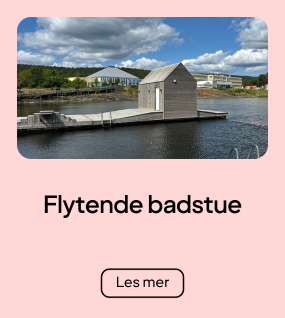 Badstu