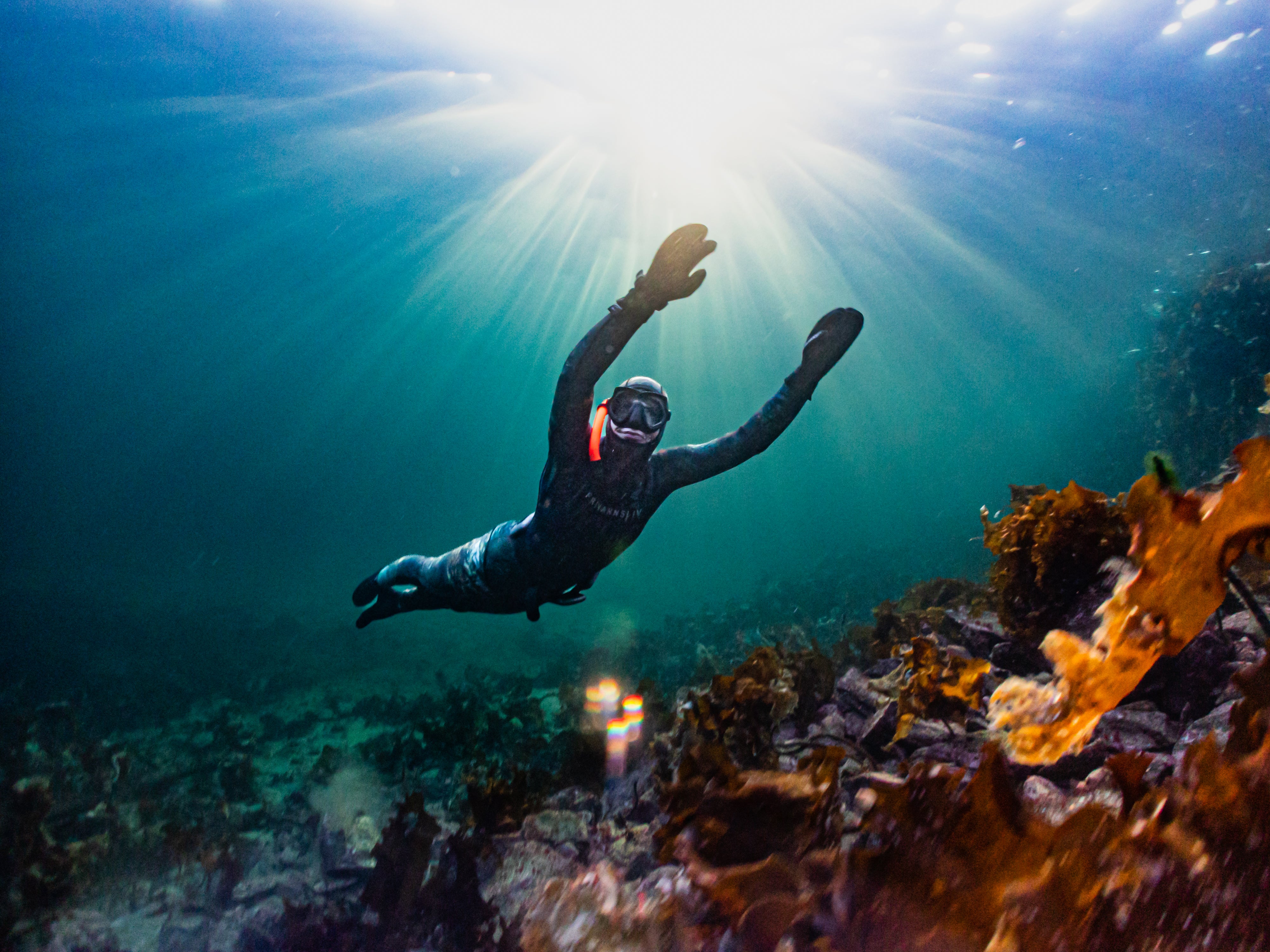 Dykkerpåske på Sunnmøre med spektakulære undervannsopplevelser på Runde!